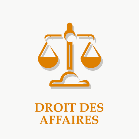 Droit des affaires