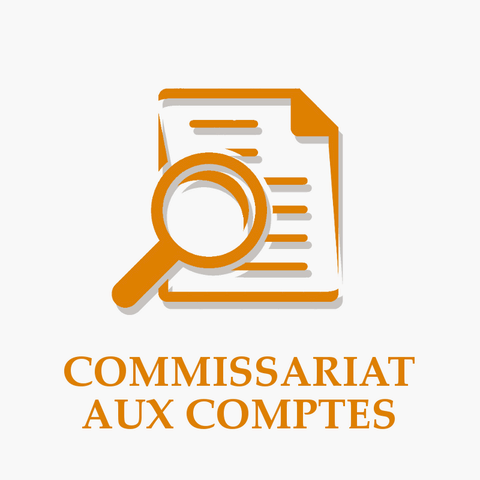 Commissariat aux comptes Audalia